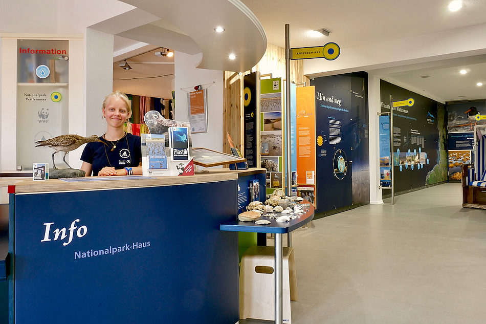Freiwillige an Ausstellungstresen