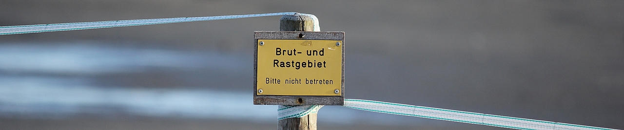 Um Vögel bei brüten zu unterstützen, werden Schilder in den Schutzzonen errichtet