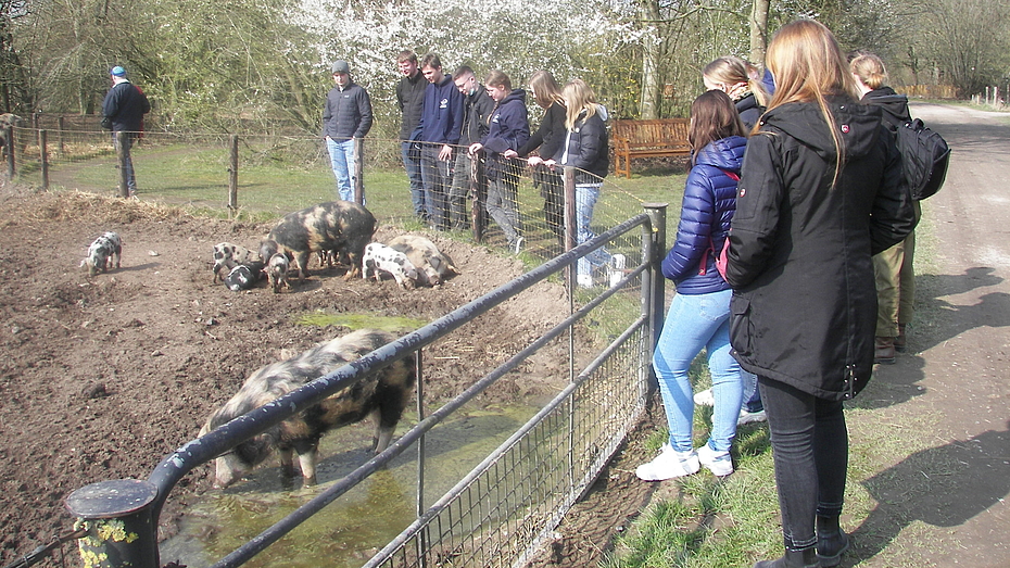 Ein Besuch auf einem Bauernhof ermöglicht den BFDler*innen Einblicke in diverse Diskurse der Landwirtschaft