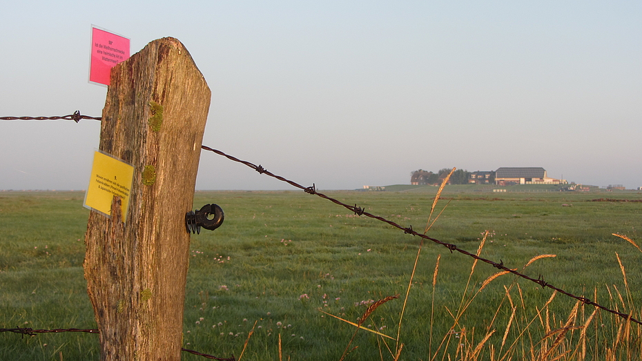 Außerschulische Lernorte wie das Seminarhaus auf Hallig Langeness gehören zu unseren BFD-Seminarstandorten im Wattenmeer