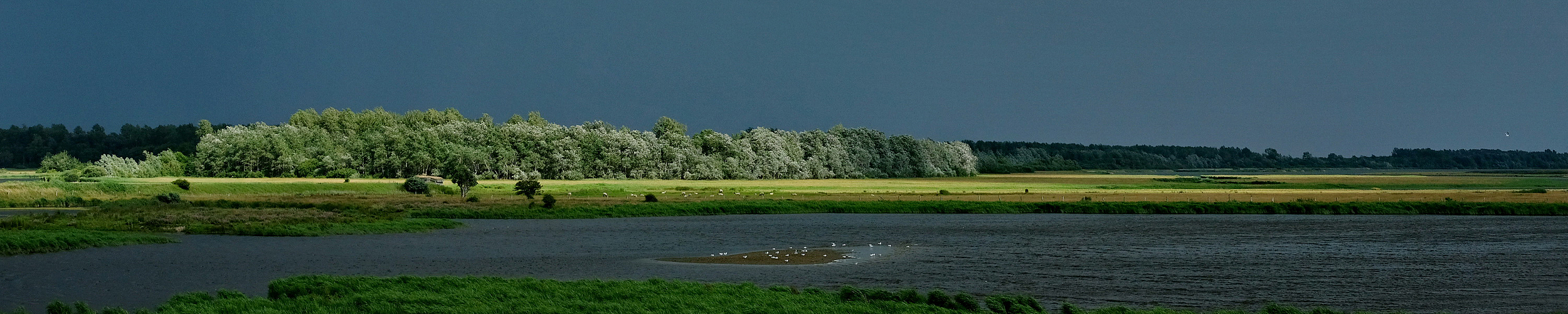 © Luca Nüchter