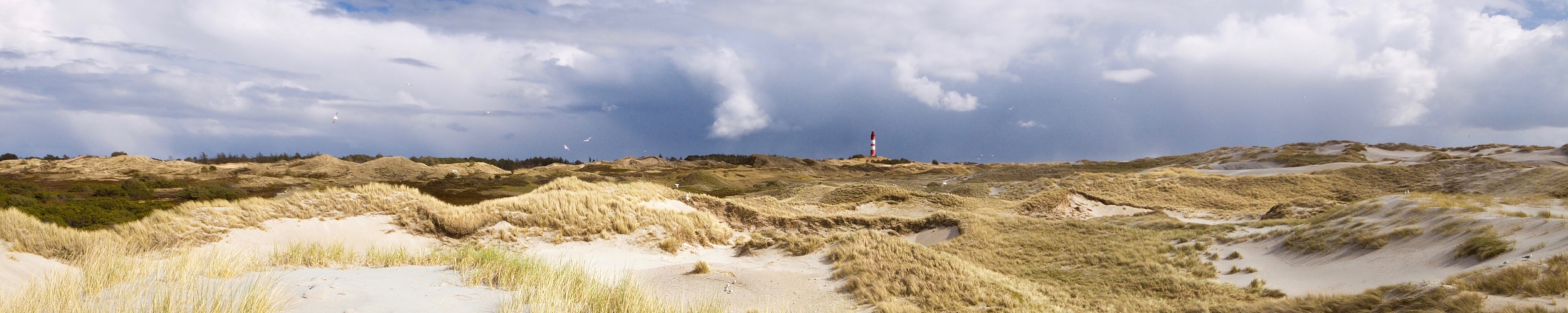 Amrum © Adam Schnabler